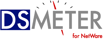 DSMETER - Protecting your company's assets