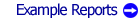 Example Reports